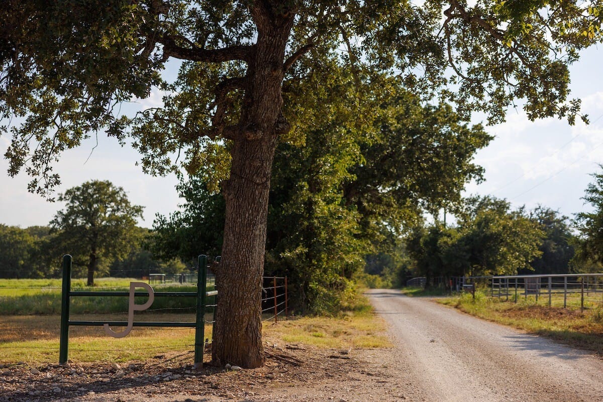 Jones Ranch Rambouillet Jones Valley Ranch | Montague County | Forestburg, TX