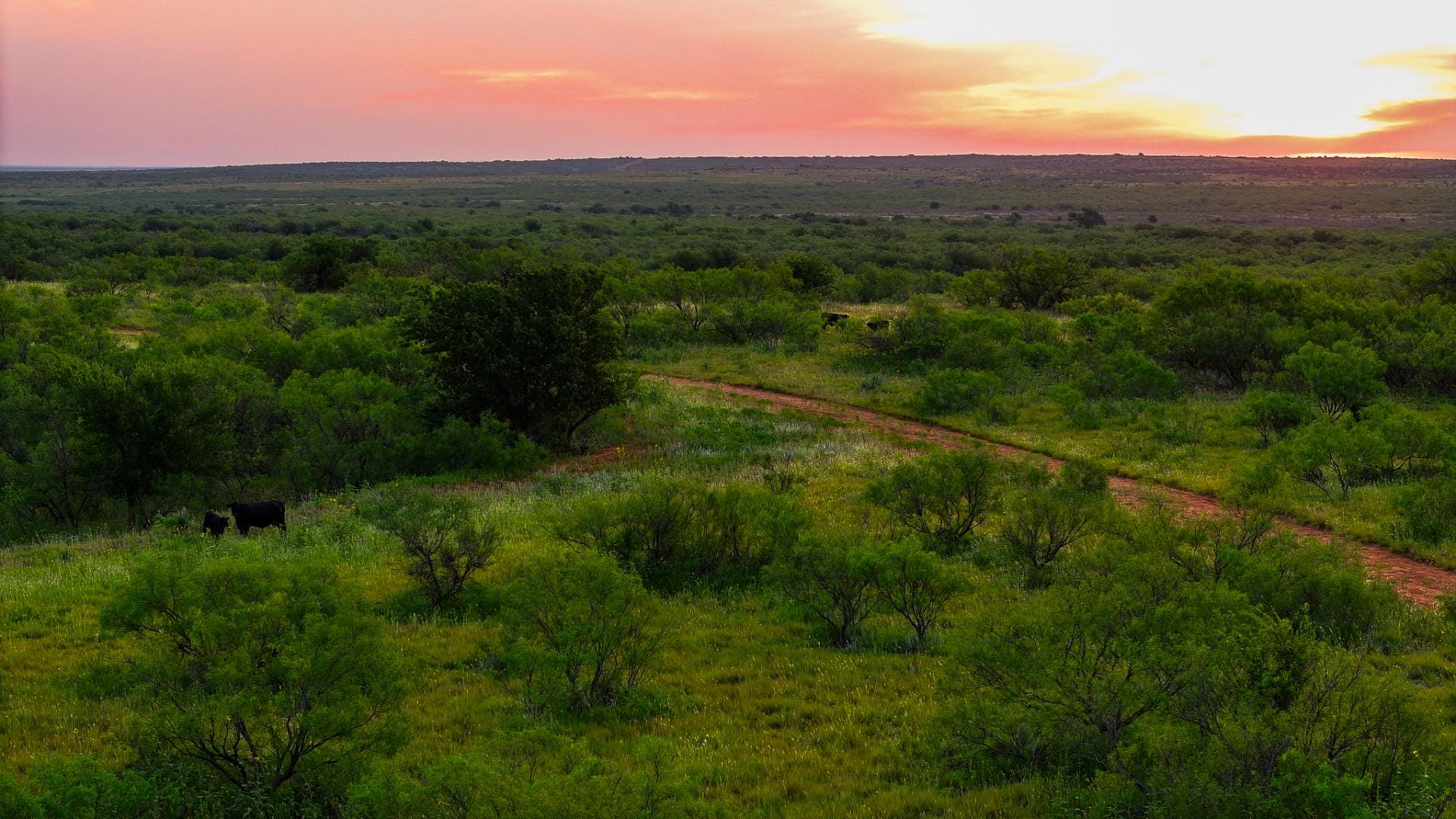 Big Sky Ranch 640 Acre Recreational Property Childress Texas ...