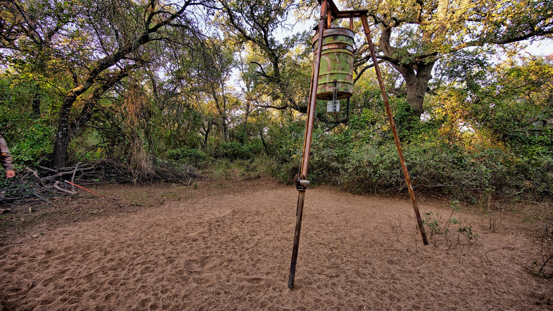 Indian Ridge Ranch | Eastland County | Cisco, TX
