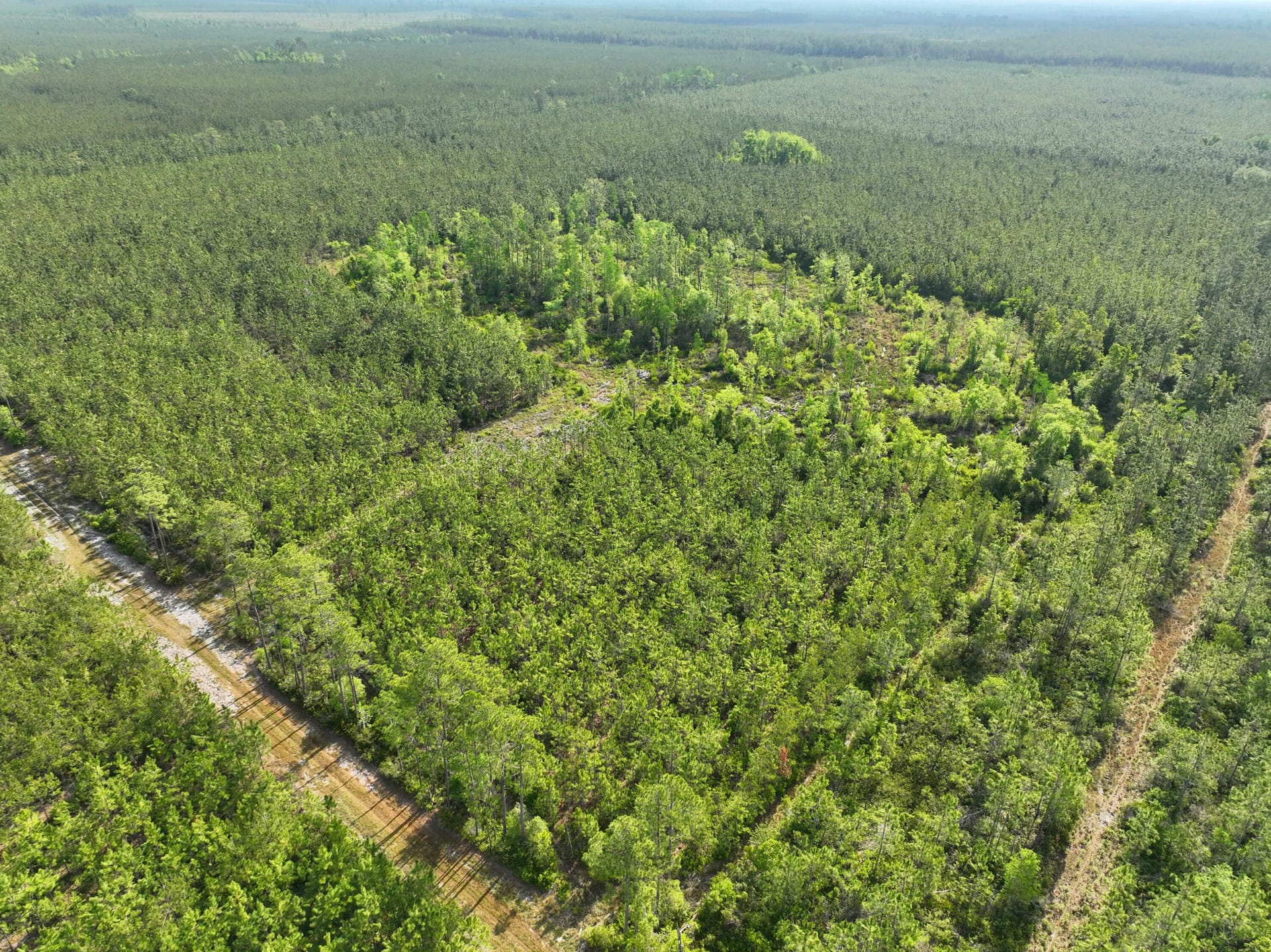 27 +/- Ac Recreational Timberland for Sale in Charlton County, GA ...