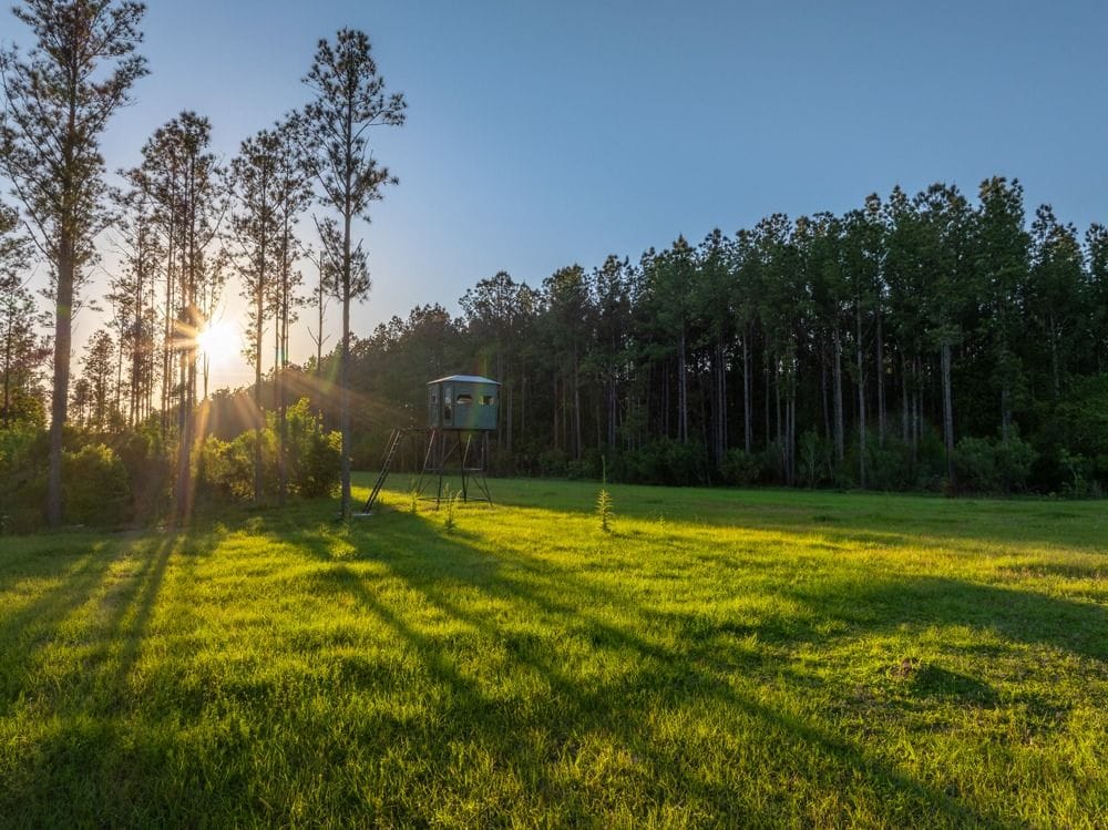 Phillips Ranch - Premier Trophy Property of Southeastern United States ...
