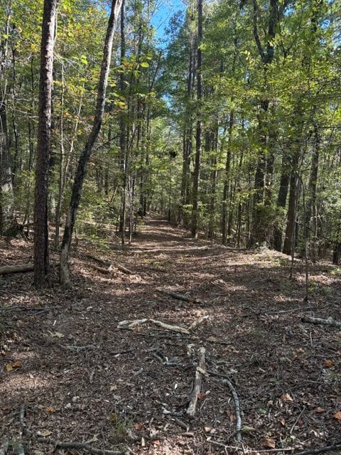 Oak Grove Road Tract | Fayette County | Fayette, AL