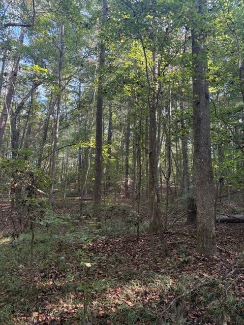 Oak Grove Road Tract | Fayette County | Fayette, AL