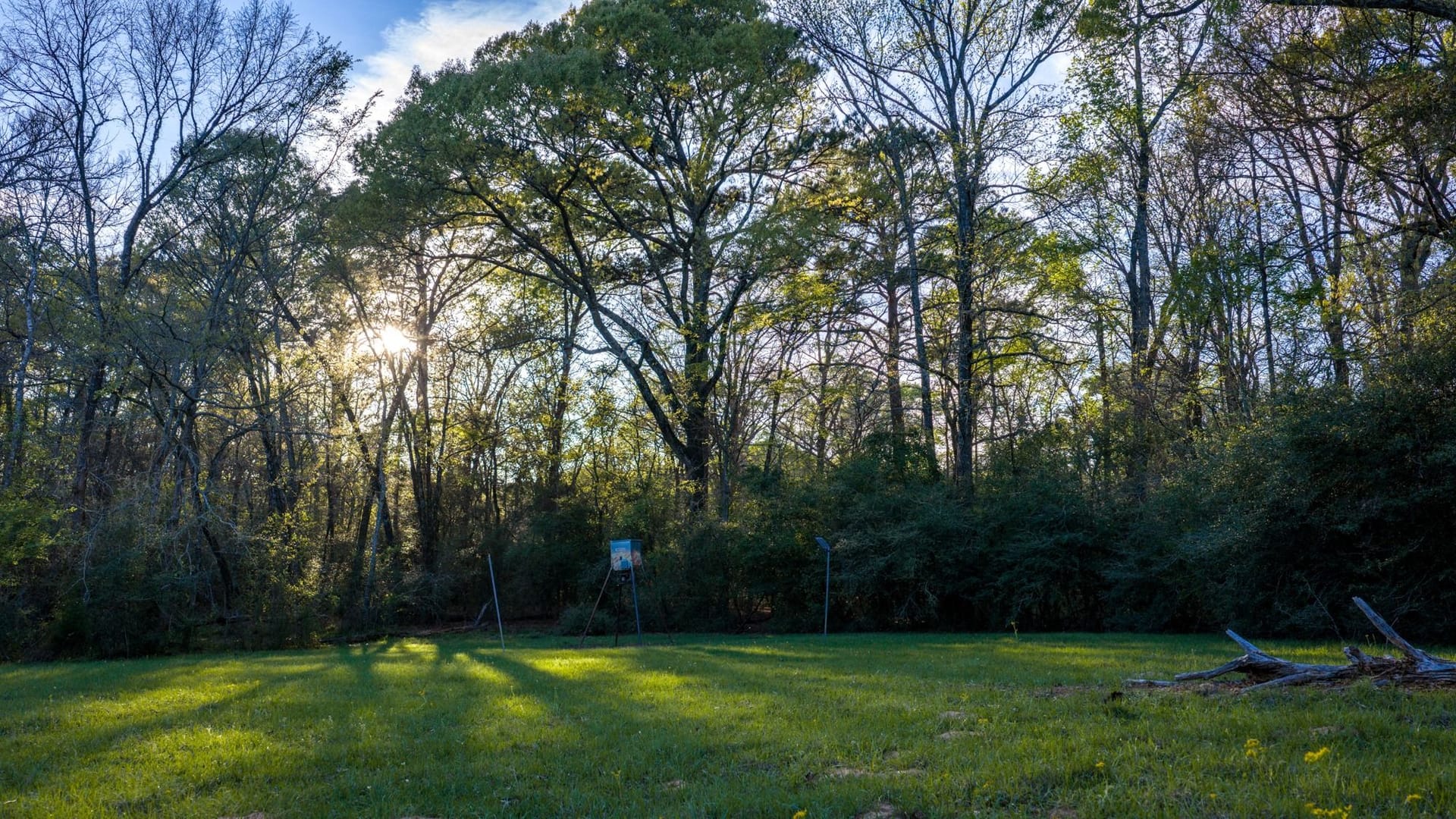 Nelson Ranch Nelson Ranch | Houston County | Crockett, TX