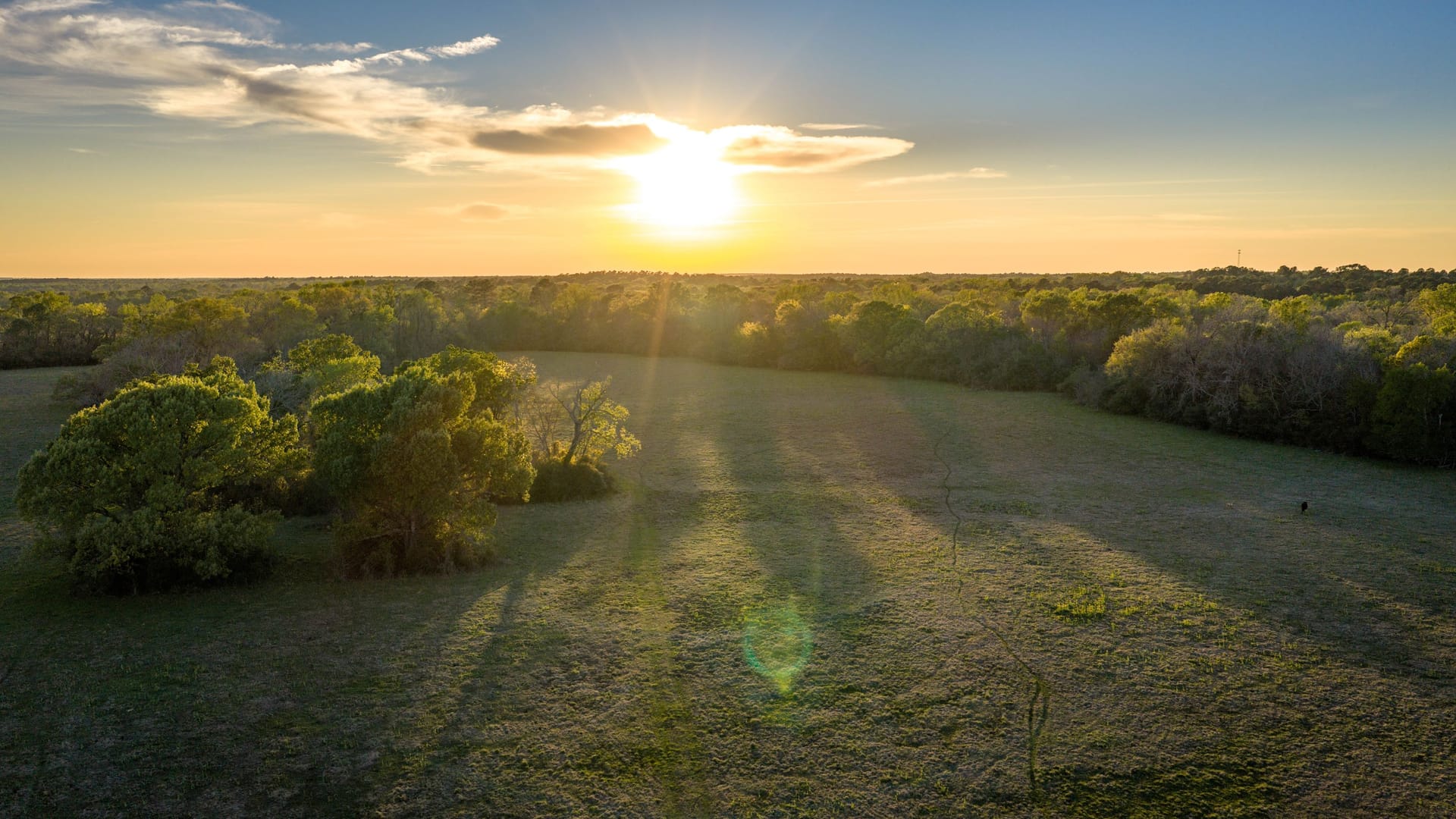 Nelson Ranch Nelson Ranch | Houston County | Crockett, TX
