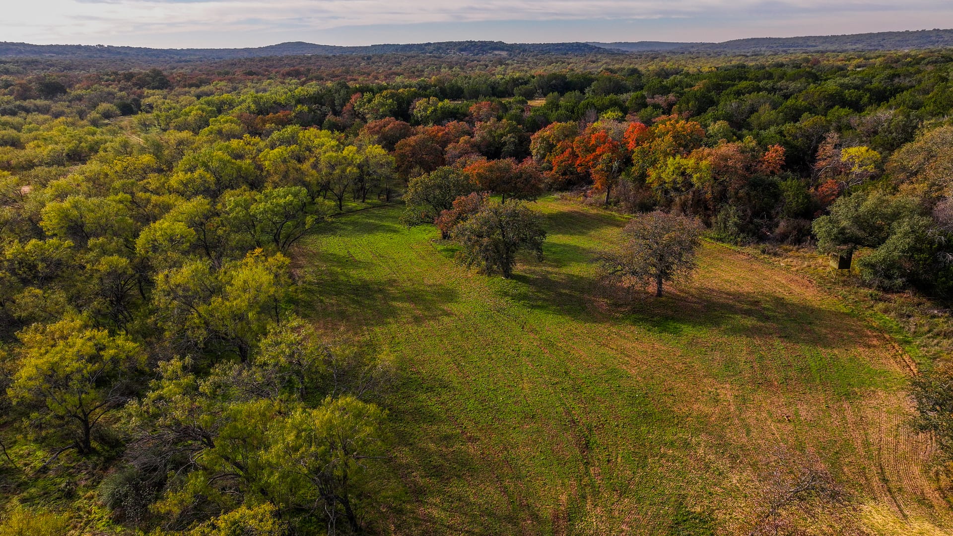 Bison Bluff Ranch | Eastland County | Cisco, TX