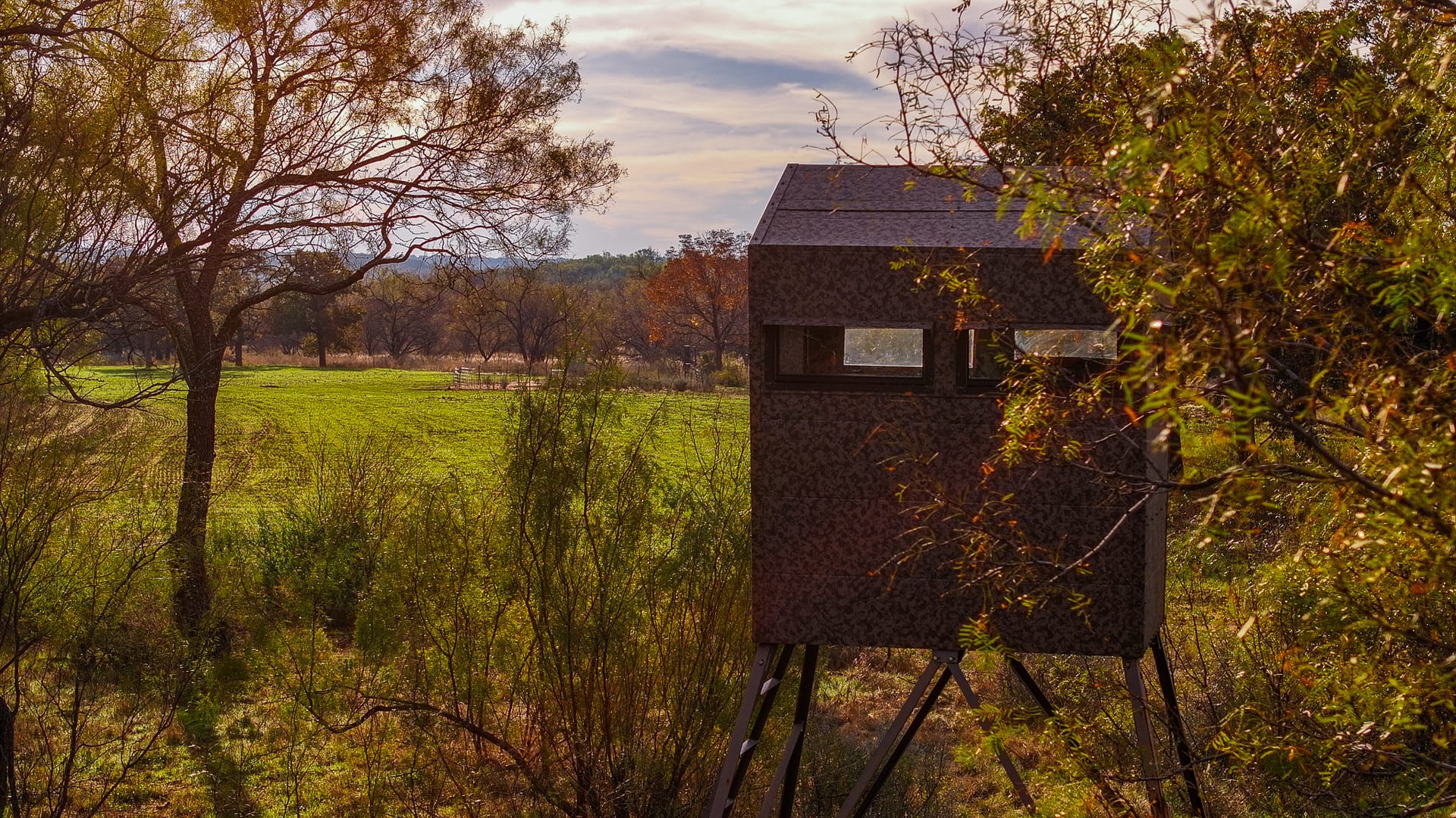 Bison Bluff Ranch | Eastland County | Cisco, TX