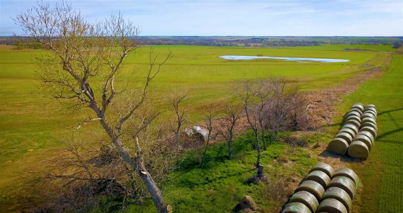 Mallard Mecca Farms465 acres of Waterfowl Paradise and