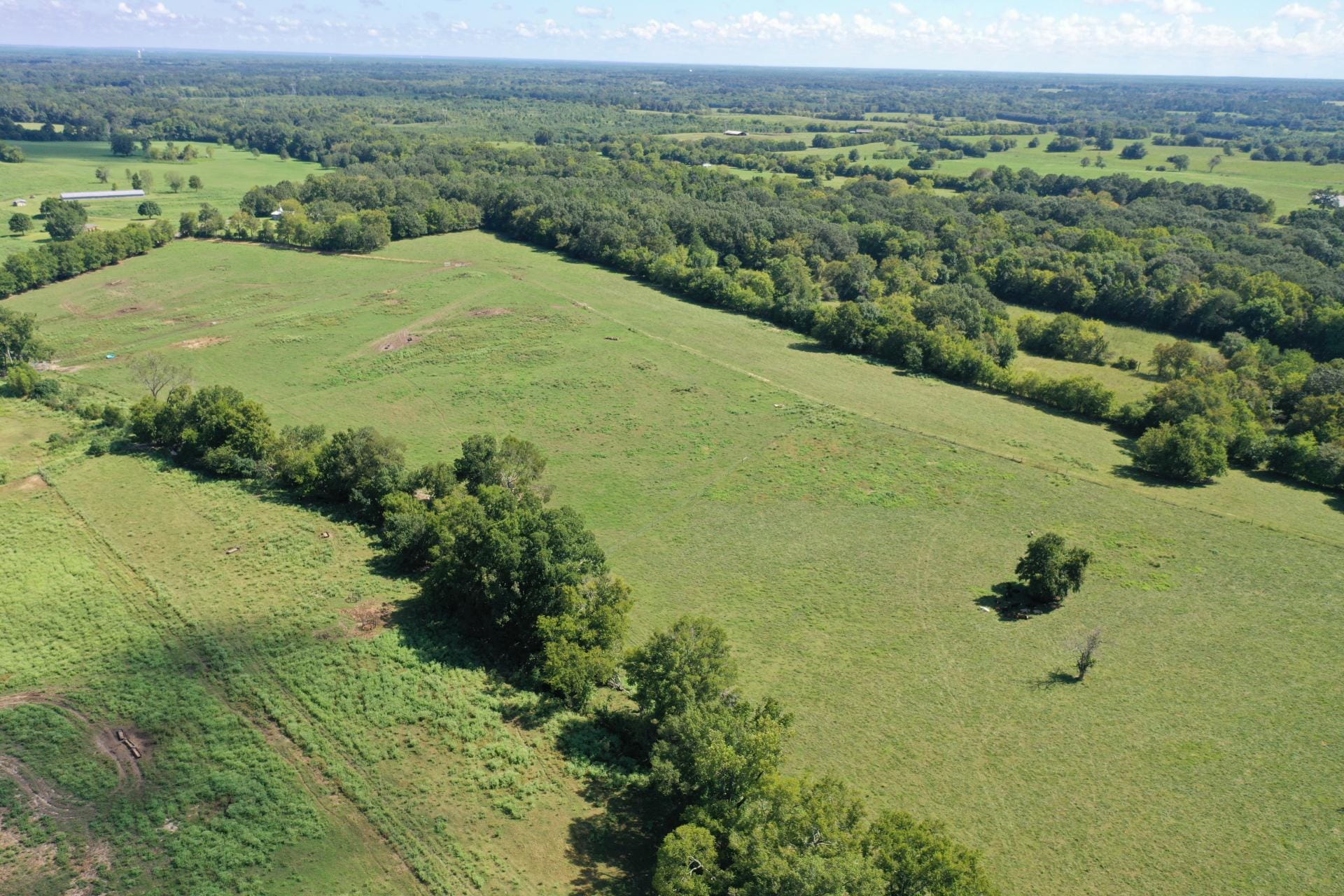 Working Cattle Farm in Montgomery Alabama | Montgomery County ...