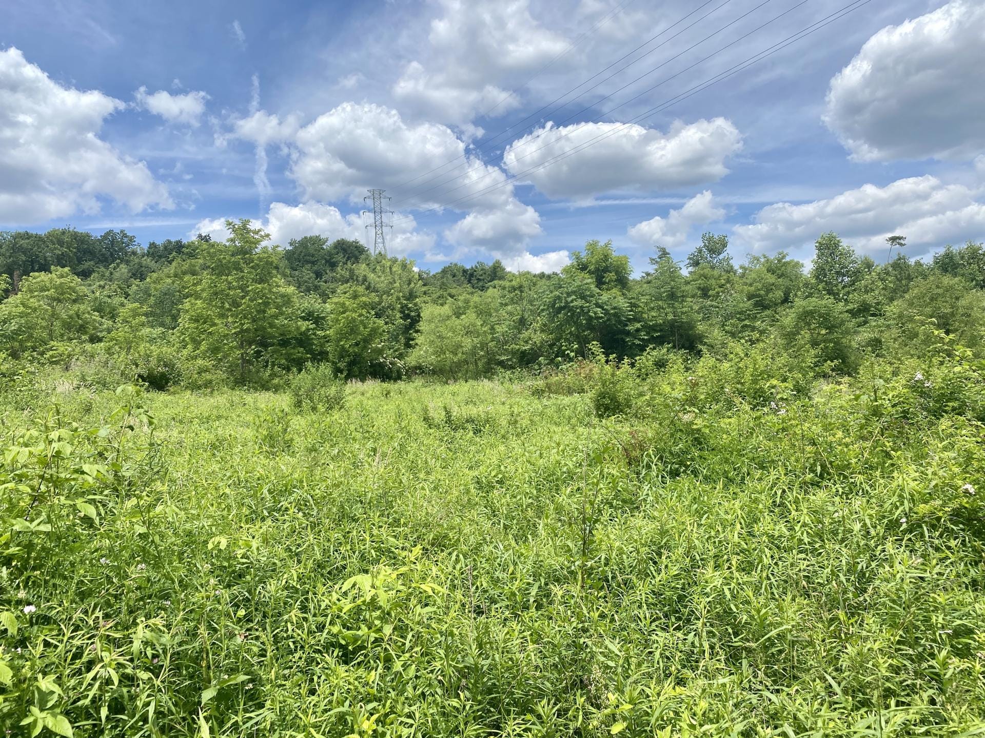 Radebaugh Rd., Westmoreland County 38 +/ acres Westmoreland County