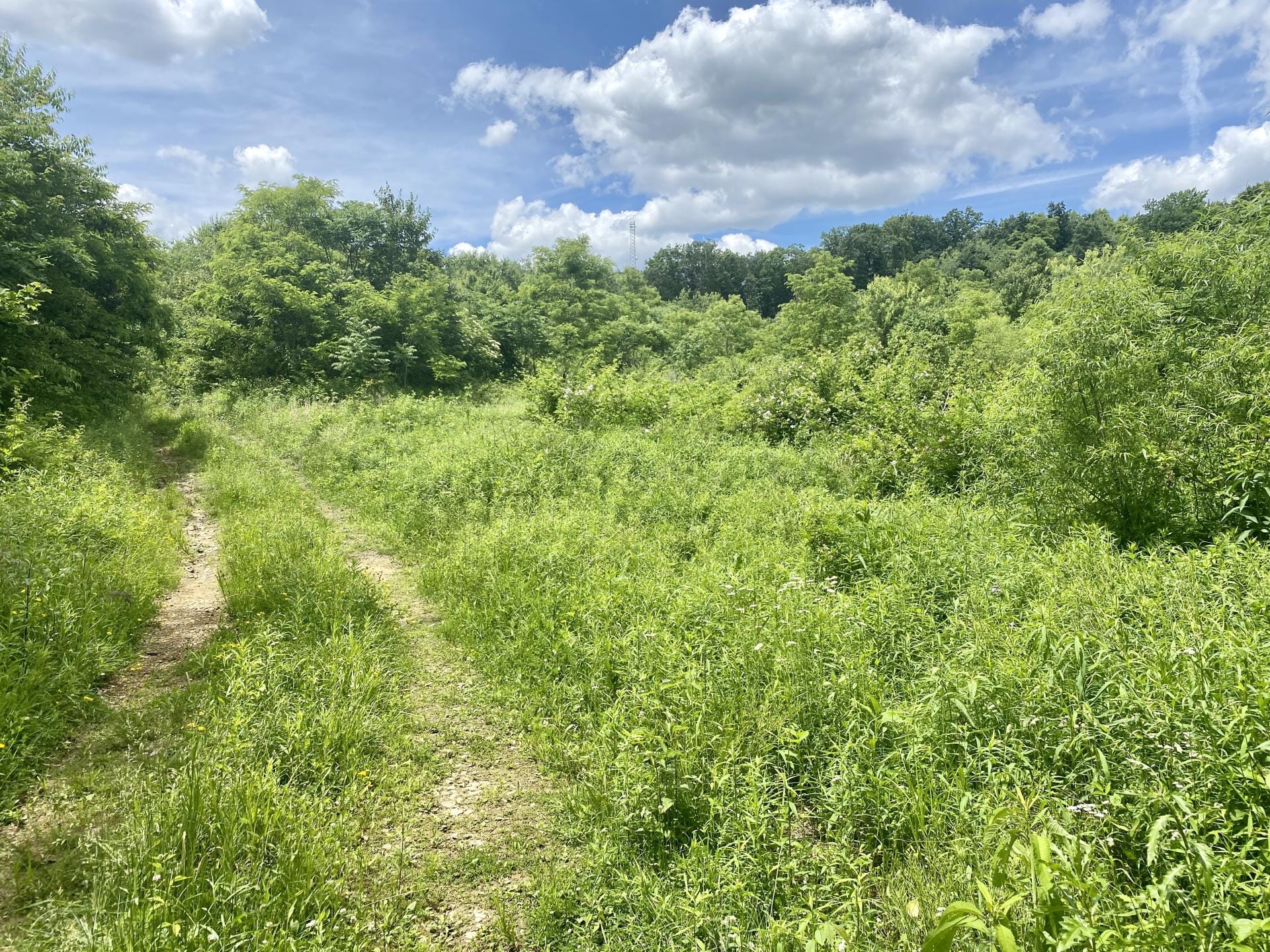 Radebaugh Rd., Westmoreland County 38 +/ acres Westmoreland County