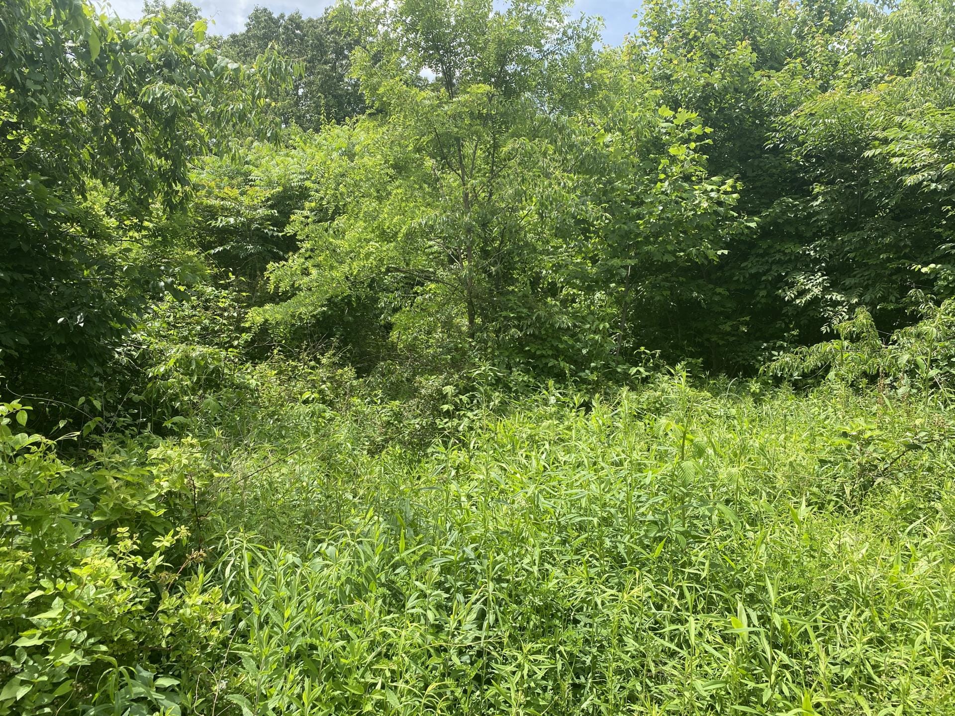Radebaugh Rd., Westmoreland County 38 +/ acres Westmoreland County