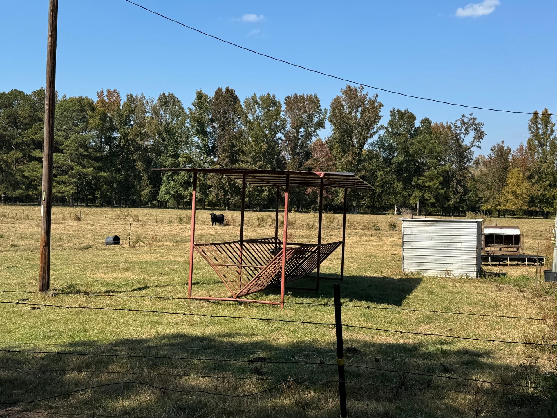 Moore The Farm tract | Perry County | Marion, AL