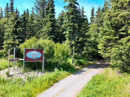 Clam Gulch Lodge 