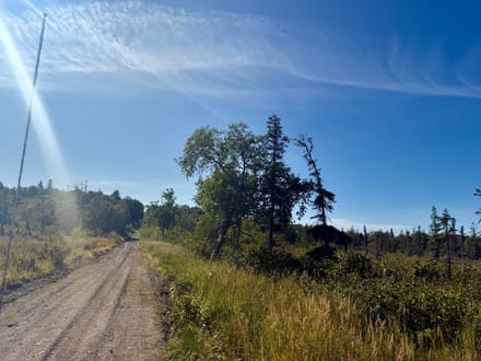 Woodsong Ct. 9 acres 
