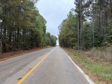 Hwy 126 Dodson Tract, Winn Parish, 40 Acres +/-