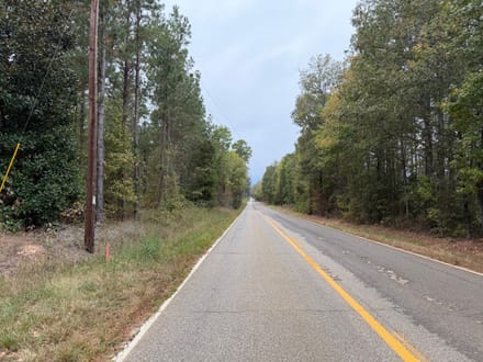 Hwy 126 Dodson Tract, Winn Parish, 40 Acres +/-