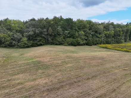 Blowing Springs Creek Lot 1