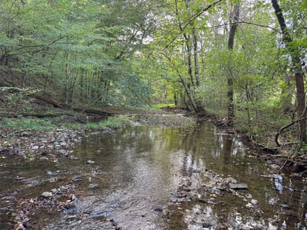 Blowing Springs Creek Lot 1