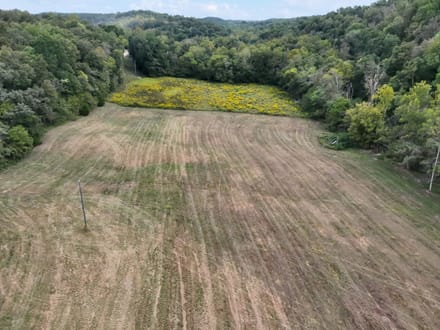 Blowing Springs Creek Lot 2