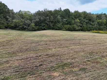 Blowing Springs Creek Lot 1
