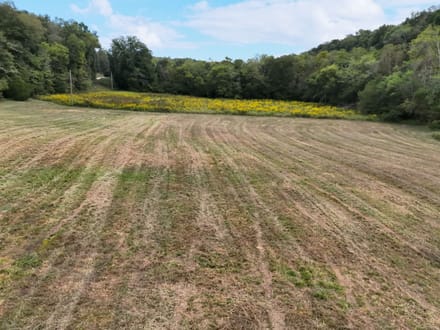 Blowing Springs Creek Lot 1