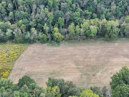Blowing Springs Creek Lot 2