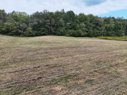 Blowing Springs Creek Lot 1