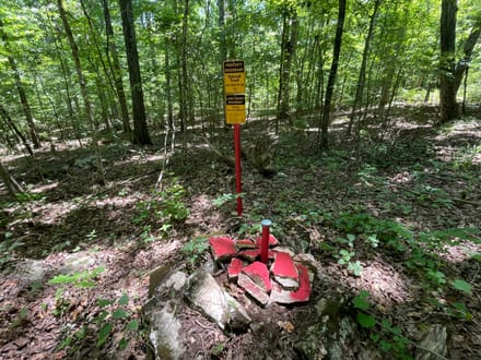 10 +/- Acres in Bankhead National Forest