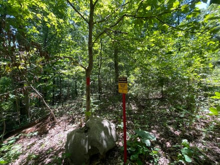 10 +/- Acres in Bankhead National Forest