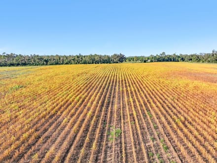68.71 Acres of Opportunity- Farmland, Homesites & Equestrian Potential