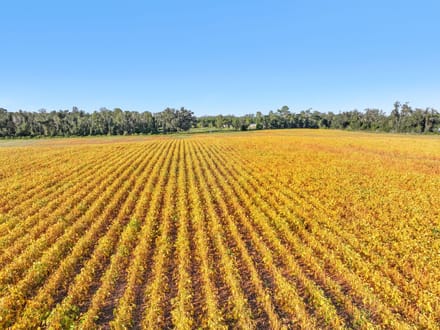 68.71 Acres of Opportunity- Farmland, Homesites & Equestrian Potential