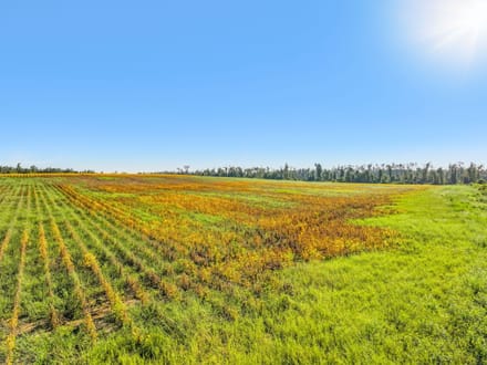 68.71 Acres of Opportunity- Farmland, Homesites & Equestrian Potential