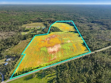 68.71 Acres of Opportunity- Farmland, Homesites & Equestrian Potential