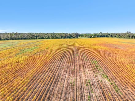 68.71 Acres of Opportunity- Farmland, Homesites & Equestrian Potential