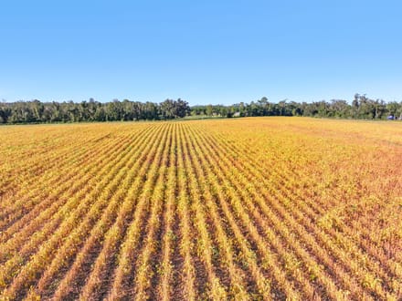 68.71 Acres of Opportunity- Farmland, Homesites & Equestrian Potential