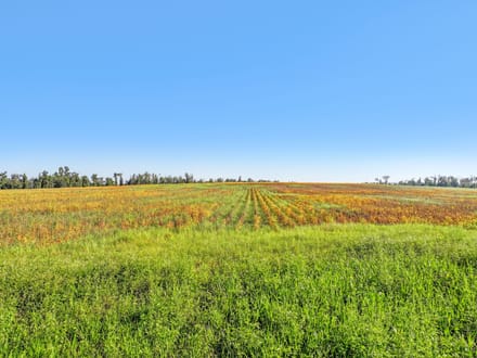 68.71 Acres of Opportunity- Farmland, Homesites & Equestrian Potential