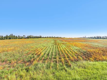 68.71 Acres of Opportunity- Farmland, Homesites & Equestrian Potential