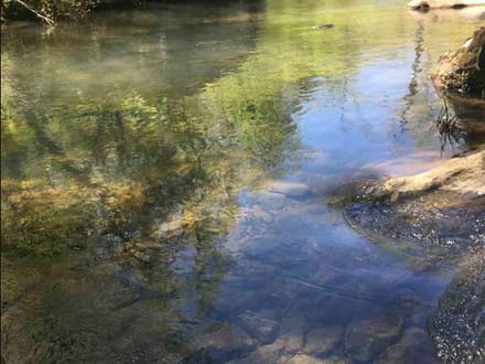 20 +/- Wooded Acres Near Bald Knob, AR | Whitetail Deer, Turkey, Bear, Creek & Seasonal Waterfall, Jackson County