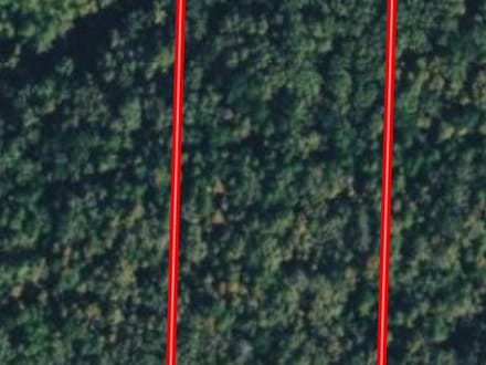 20 +/- Wooded Acres Near Bald Knob, AR | Whitetail Deer, Turkey, Bear, Creek & Seasonal Waterfall, Jackson County