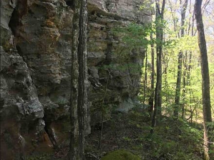 20 +/- Wooded Acres Near Bald Knob, AR | Whitetail Deer, Turkey, Bear, Creek & Seasonal Waterfall, Jackson County
