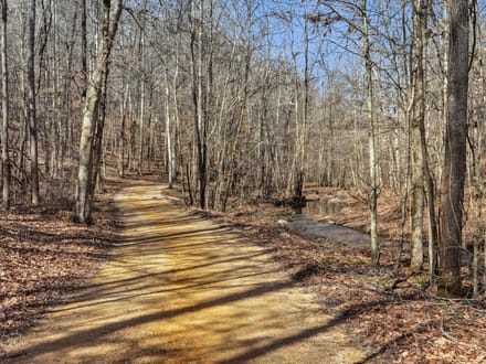 Secluded 25-Acre Retreat with Two Custom Cabins, Spring-Fed Pond & Waterfall