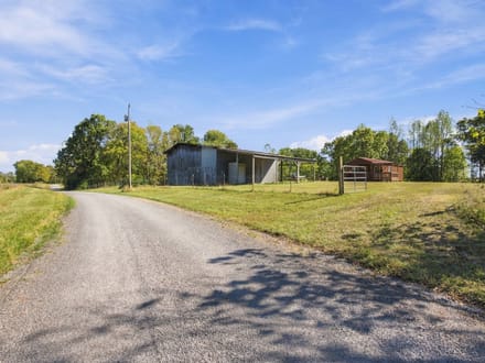 59.55± Acres | Hunting & Recreational Retreat | Cabin | Macon & Jackson Counties