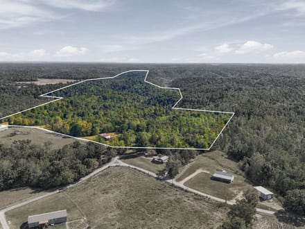 59.55± Acres | Hunting & Recreational Retreat | Cabin | Macon & Jackson Counties