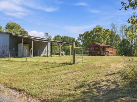 59.55± Acres | Hunting & Recreational Retreat | Cabin | Macon & Jackson Counties