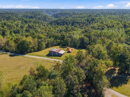 59.55± Acres | Hunting & Recreational Retreat | Cabin | Macon & Jackson Counties