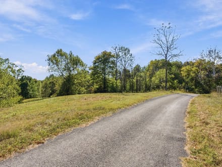 59.55± Acres | Hunting & Recreational Retreat | Cabin | Macon & Jackson Counties