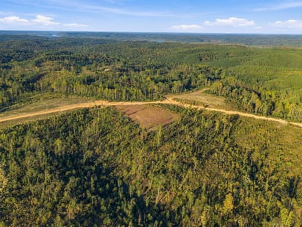 Discover Your 6.16-Acre Haven at Birdsong Landing in Benton County!