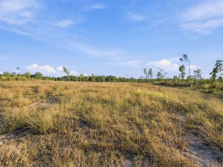 Discover Your 6.16-Acre Haven at Birdsong Landing in Benton County!