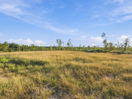 Discover Your 6.16-Acre Haven at Birdsong Landing in Benton County!